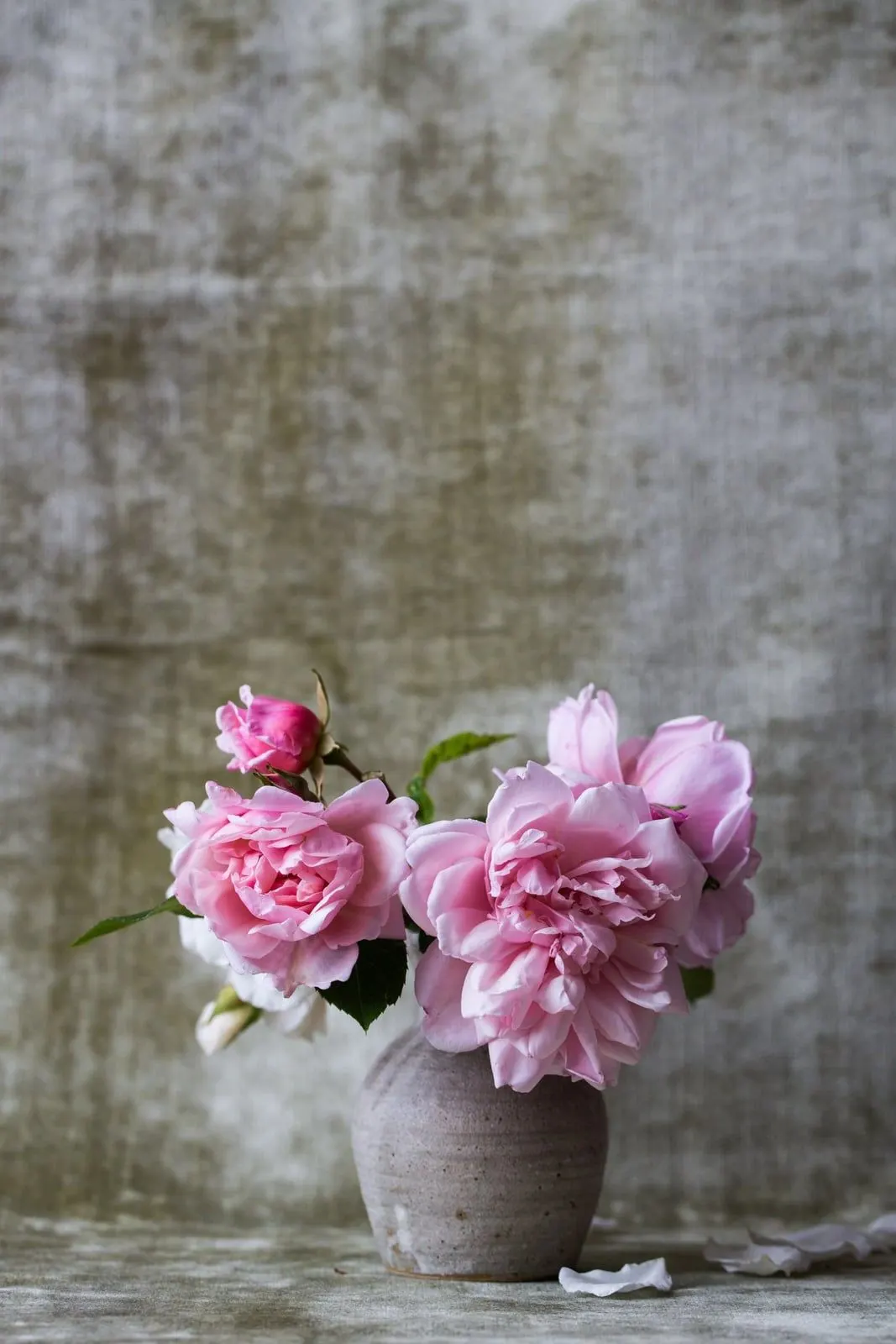 Pivoines roses et blanches dans un vase en grès posé sur un fond de lin froissé