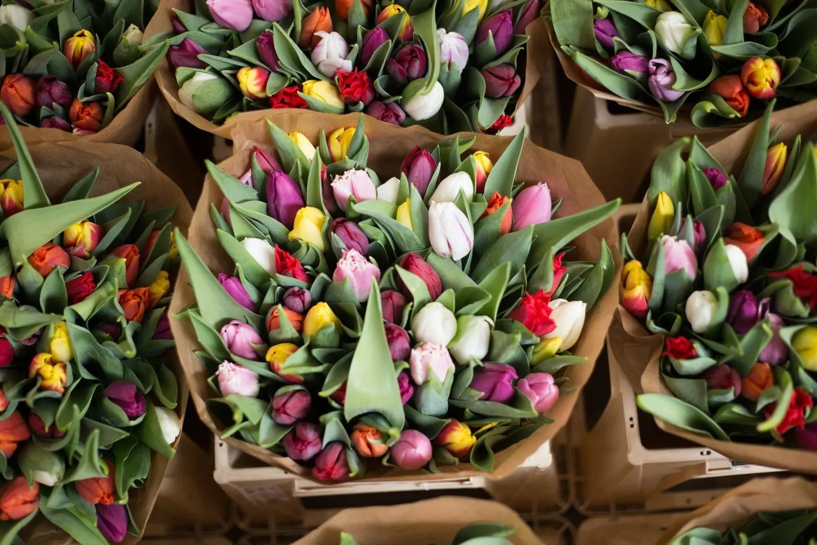 Bottes de tulipes multicolores emballées de papier kraft, vues de dessus